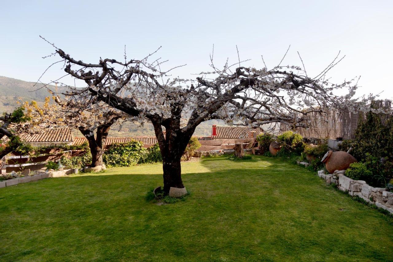 הוילה Villarejo del Valle La Higuera מראה חיצוני תמונה
